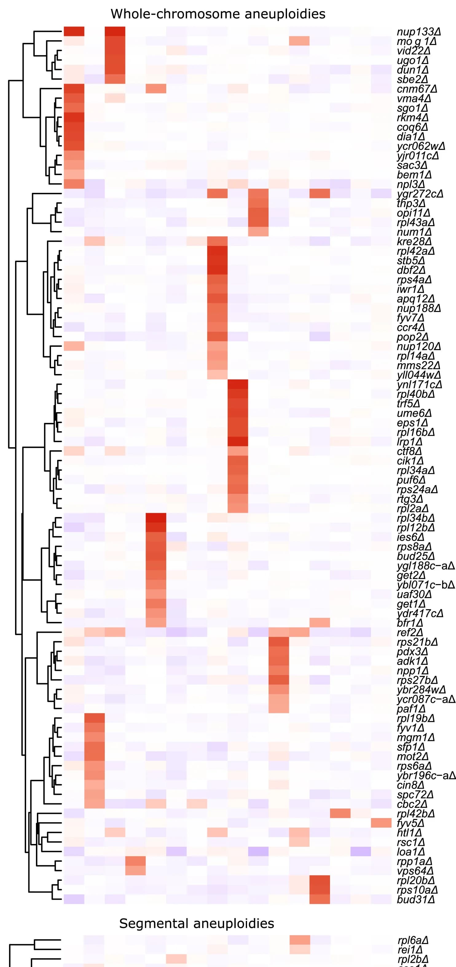 Open access visualization of Heatmap, Clustered, Protein Abundance Levels, Chromosomes, Log2 Protein Abundance
