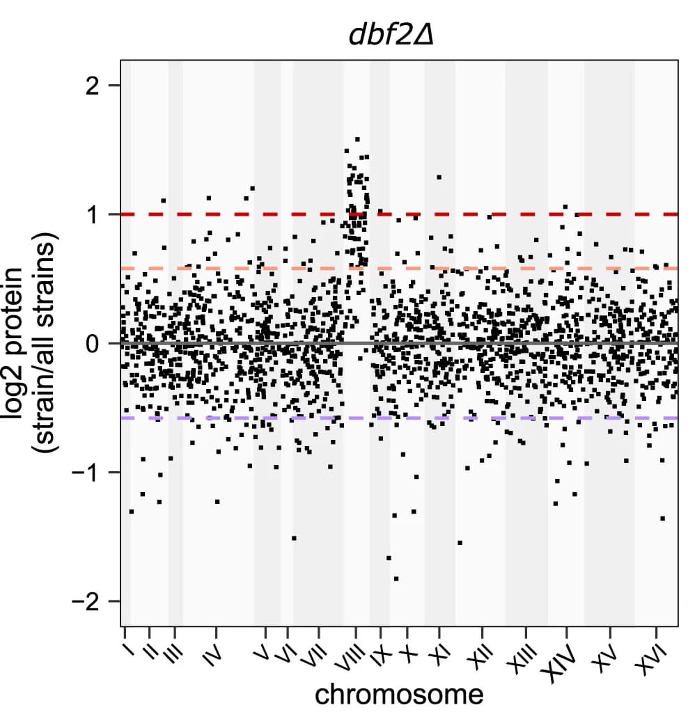 Open access visualization of Scatter Plot, Manhattan Plot, Protein Abundances, Chromosomal Location, dbf2Δ