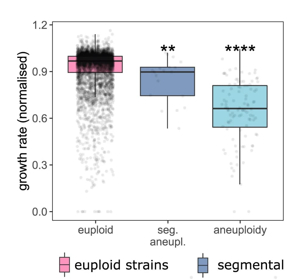 Open access visualization of Violin Plot, Box Plot, Scatter Plot, Normalized Growth Rates, Euploid