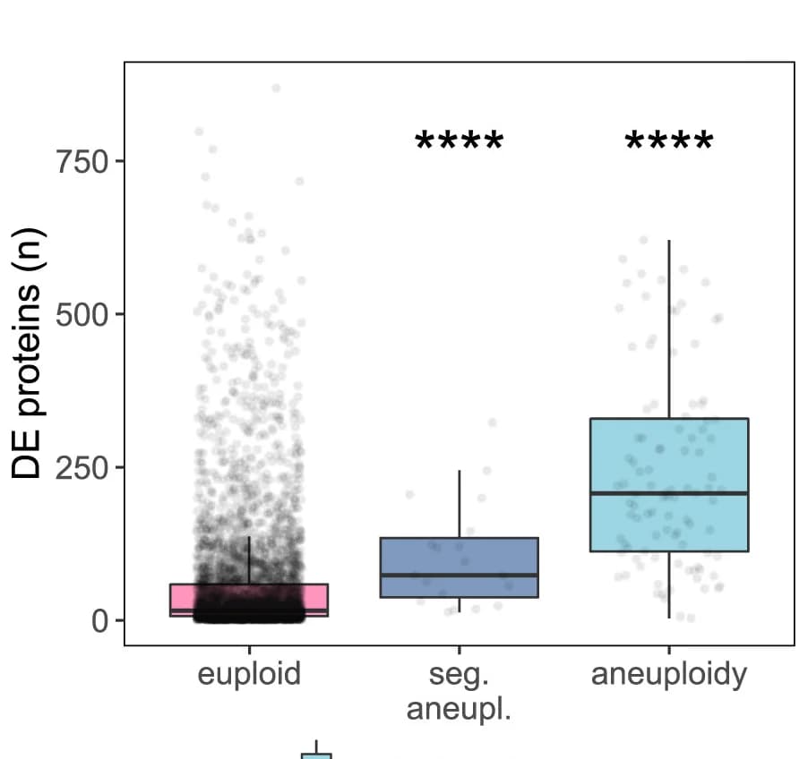 Open access visualization of Box Plot, Scatter Plot, Significantly Changed Proteins, Euploid, Segmental Aneuploidy