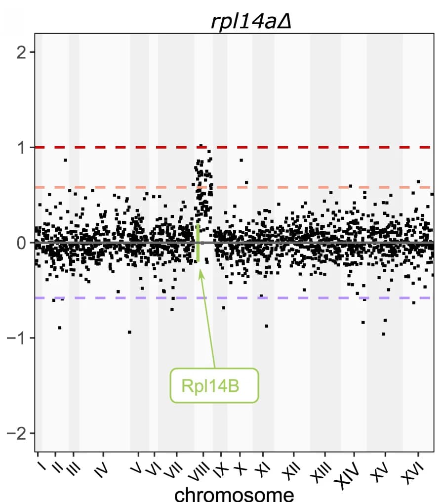 Open access visualization of Scatter Plot, Manhattan Plot, Regression Plot, Protein Abundances, Chromosomal Location