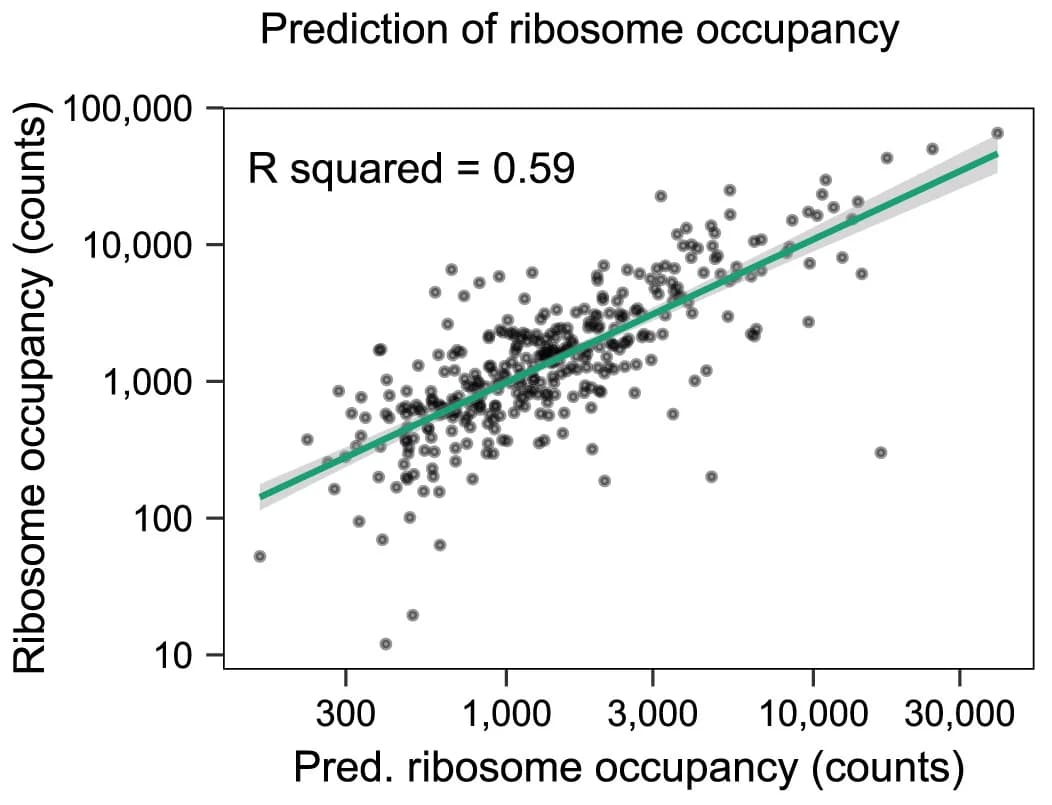 Open access visualization of Scatter Plot, Regression Plot, Ribosomal Occupancy, Elastic Net Model, Proteomics