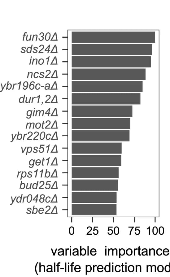 Open access visualization of Bar Plot, Knockout Strains, Regression Model, Protein Half-life