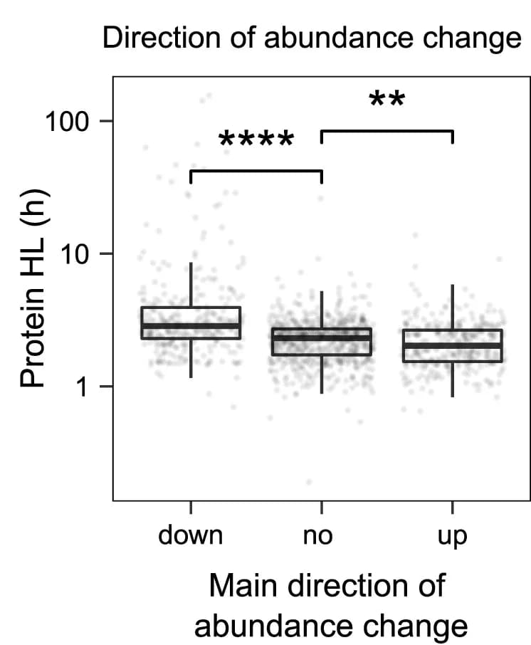 Open access visualization of Box Plot, Scatter Plot, Raincloud Plot, Protein Half-life, Protein Abundance