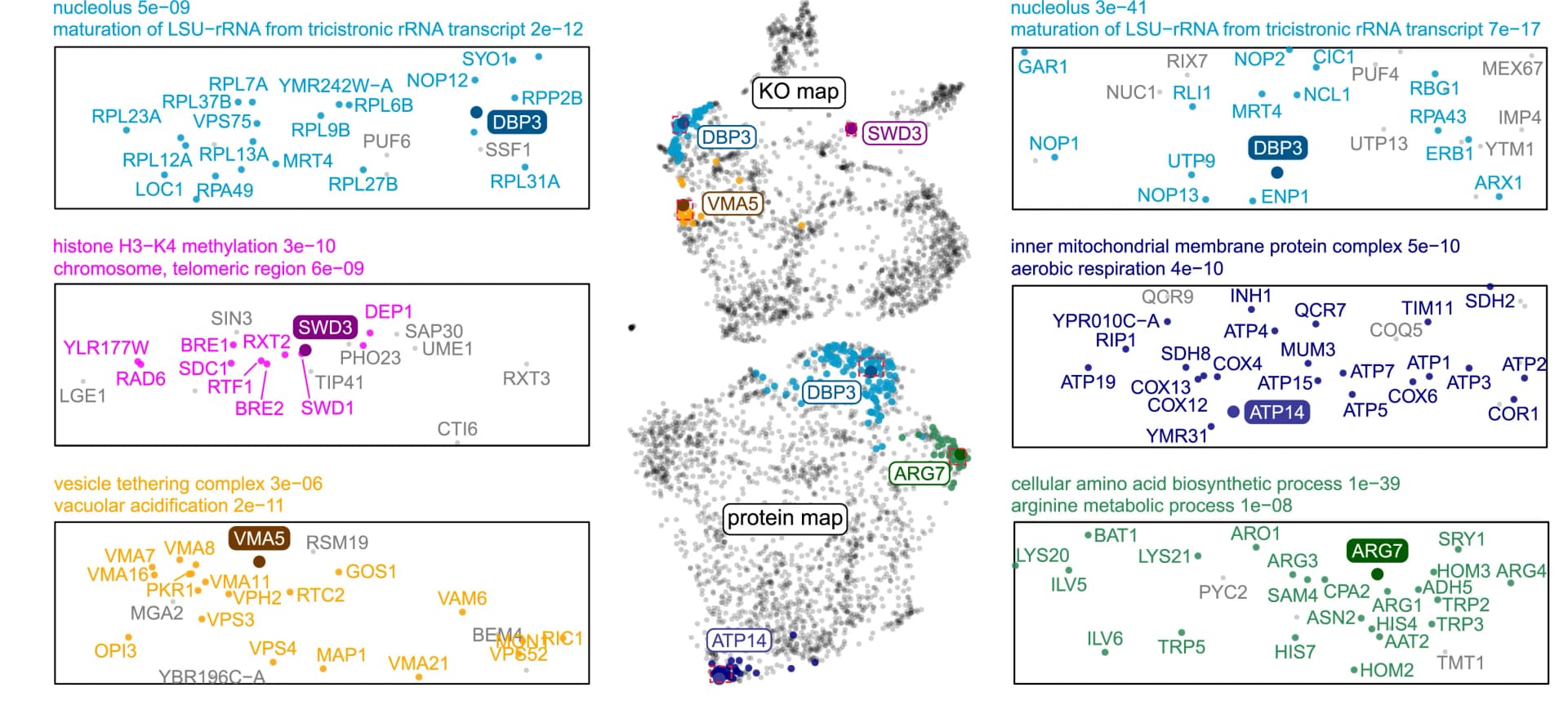 Open access visualization of Scatter Plot, UMAP, KO Strains, Proteins, Functional Similarity