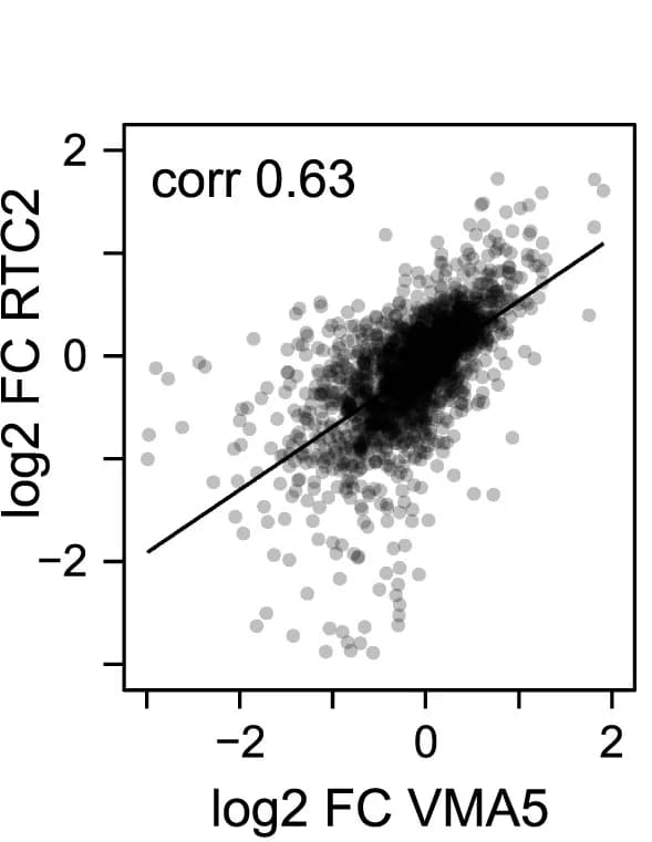 Open access visualization of Scatter Plot, Regression Plot, Protein Fold-Changes, KOs, UMAP