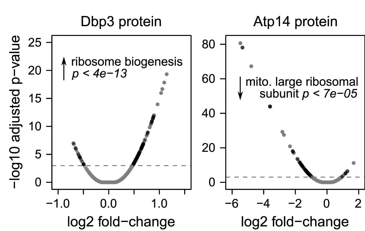 Open access visualization of Volcano Plot, Scatter Plot, Abundance Changes, Proteins, KO Strains