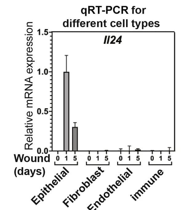 Open access visualization of Bar Plot, Error Bars, qRT-PCR, Il24 mRNA, FACS-Purified Cells