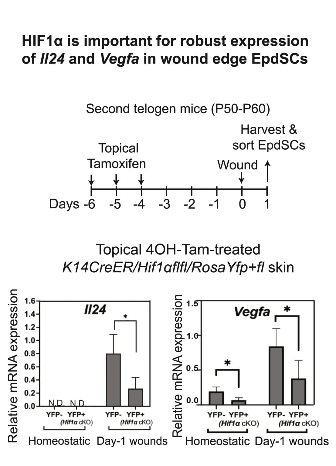 Open access visualization of Bar Plot, Error Bars, Experiment Schematic, qRT-PCR, YFP
