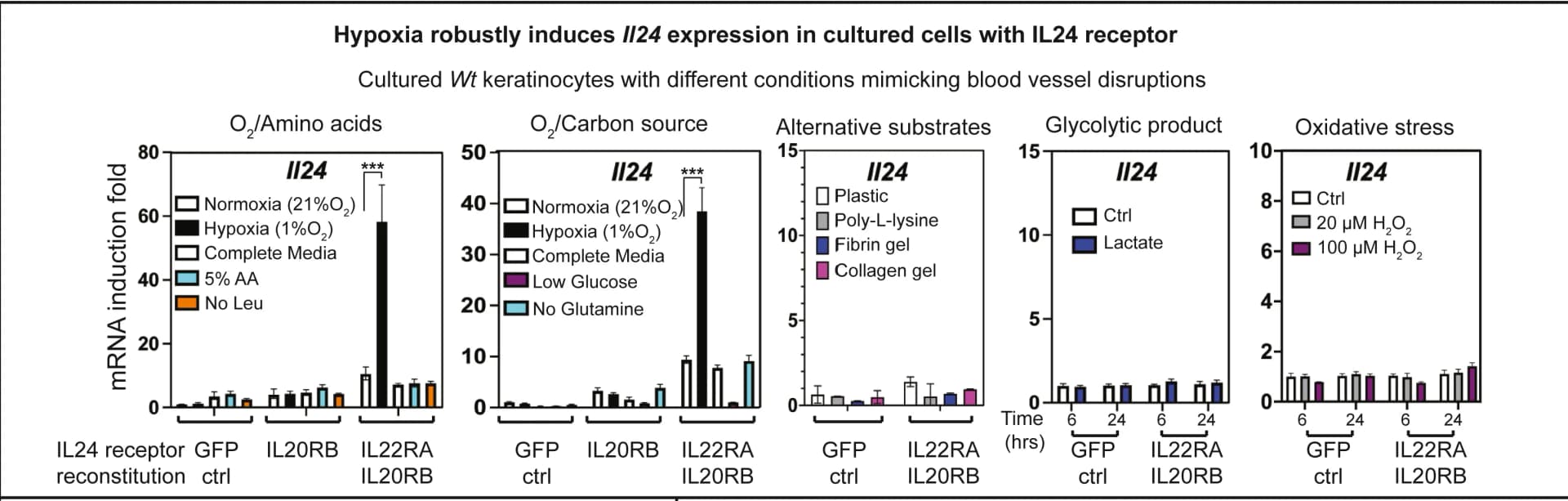 Open access visualization of Bar Plot, Error Bars, qRT-PCR, Il24 mRNA, Keratinocytes