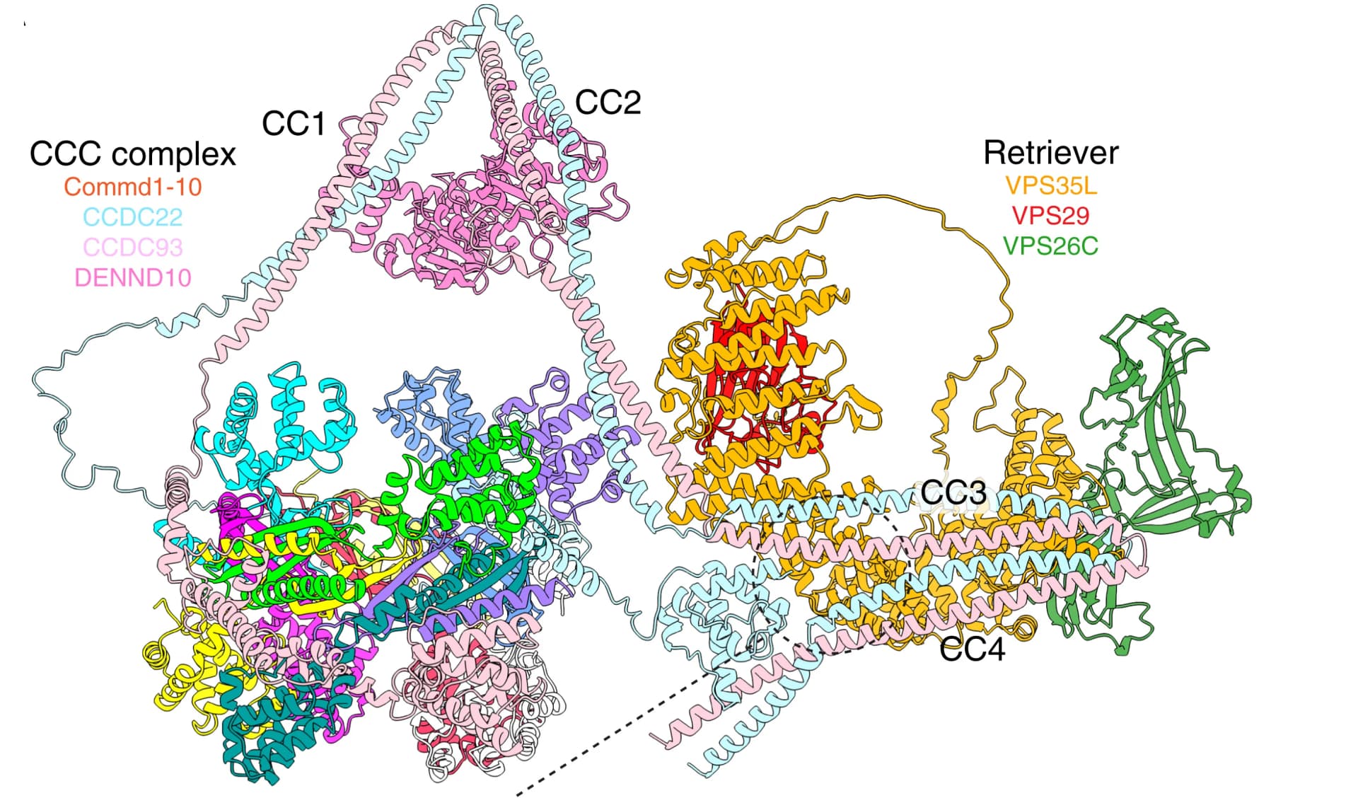 Open access visualization of Protein Structure, CryoEM, Crystal structures, CCC, Retriever