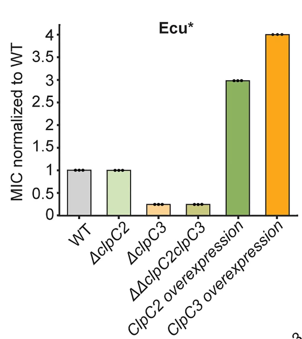 Open access visualization of Bar Plot, MIC Assay, dCym, Ecu*, MsmWT