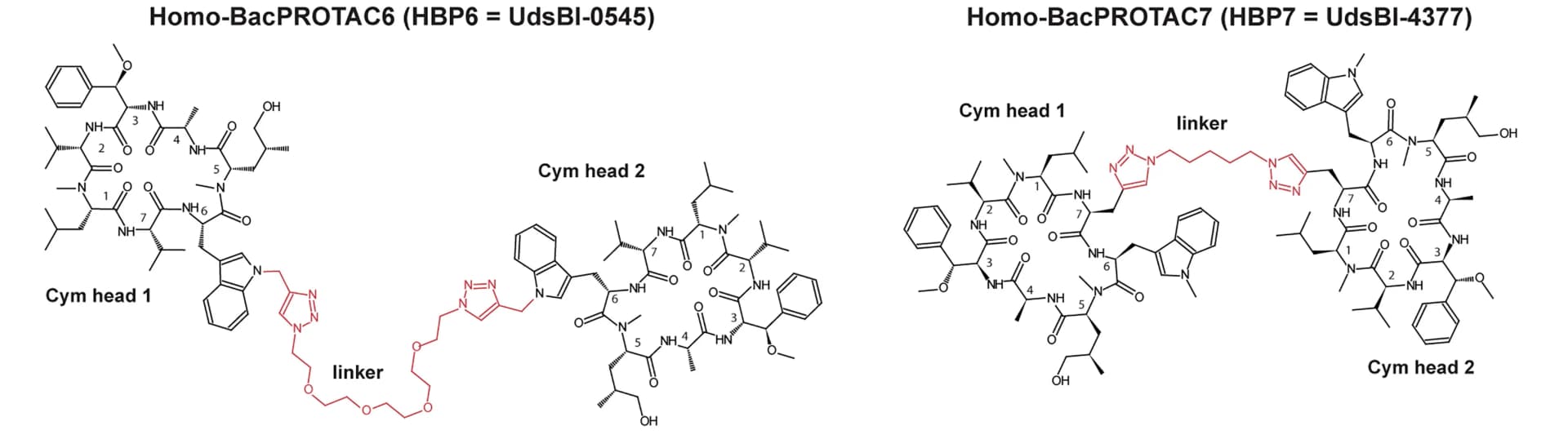 Open access visualization of Chemical Structure, HBP6, HBP7, Linker
