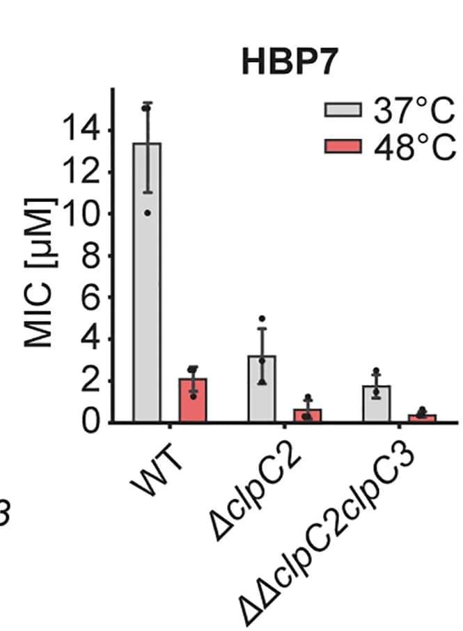 Open access visualization of Bar Plot, Error Bars, Clustered, Checkerboard Assay, HBP Treatment