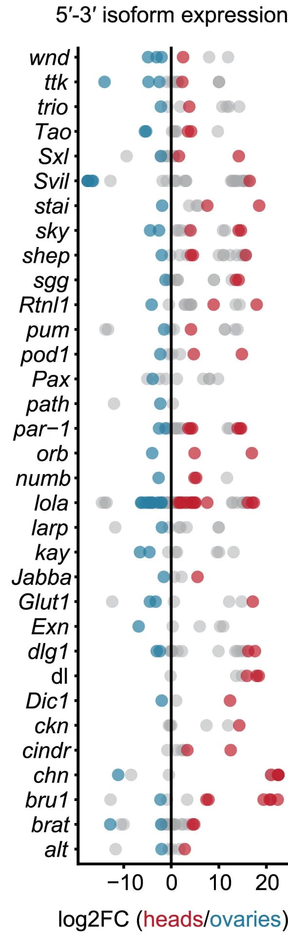 Open access visualization of Scatter Plot, Isoform expression, Drosophila, Heads, Ovaries