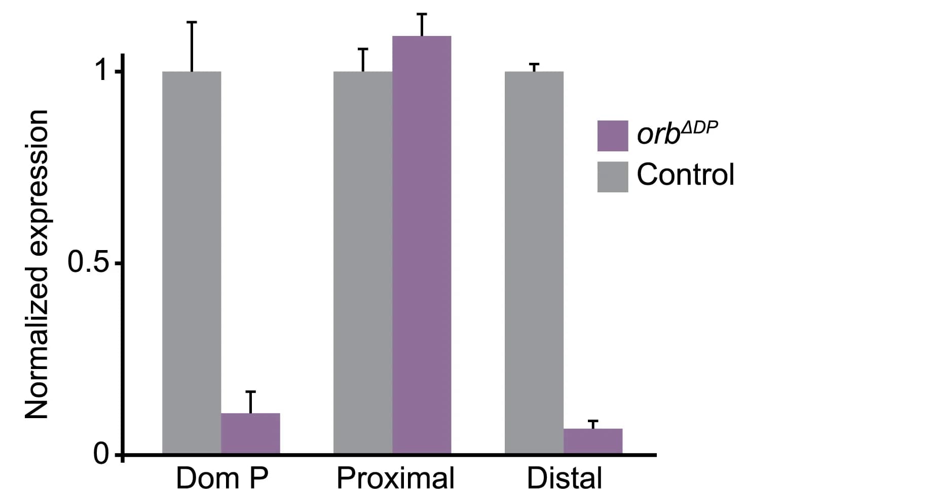 Open access visualization of Bar Plot, Error Bars, Clustered, RT-qPCR, Transcript Quantification