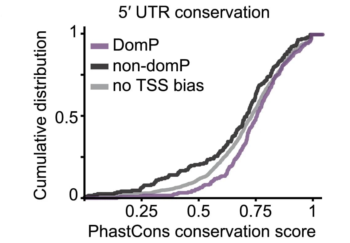 Open access visualization of Line Plot, Line Step, PhastCons conservation scores, 5' UTRs, Dominant Promoters