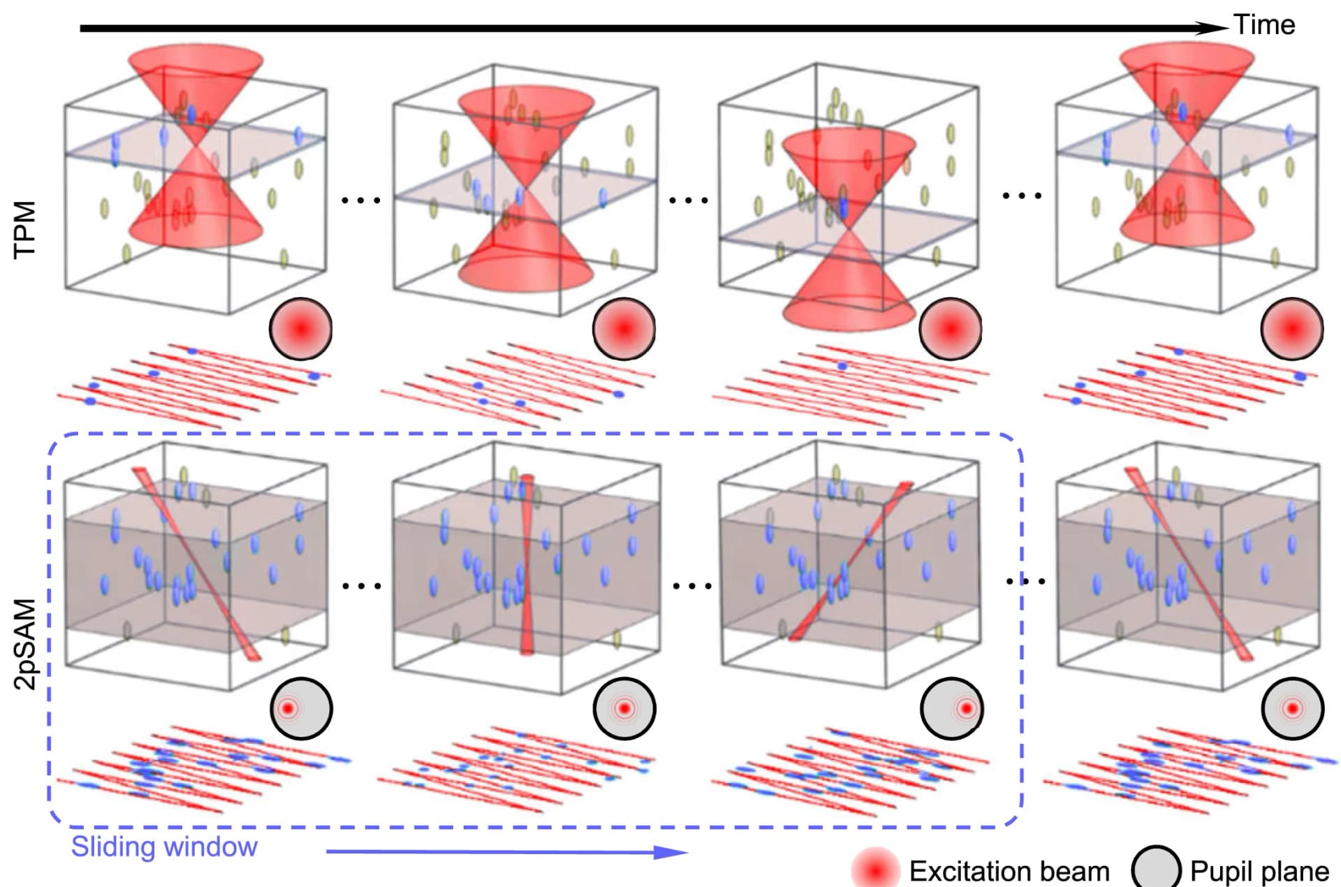 Open access visualization of Workflow, Illustration, TPM, 2pSAM