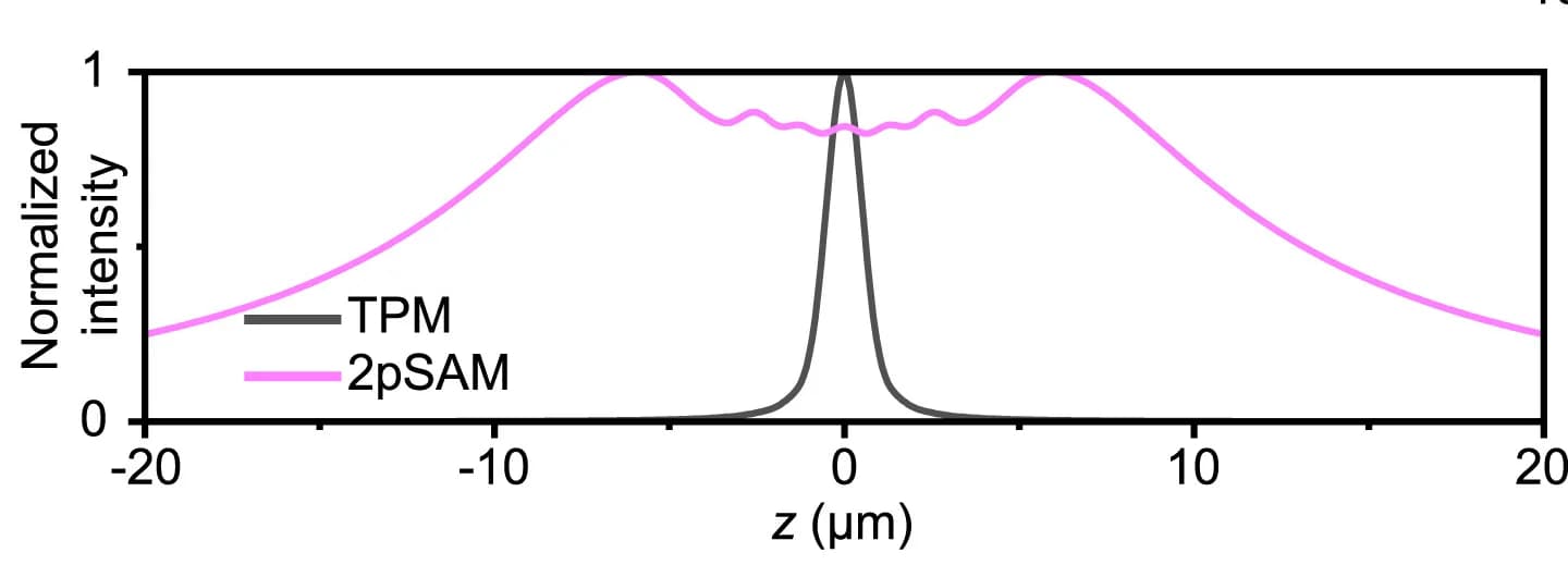 Open access visualization of Line Plot, Axial Energy Distribution, PSF, TPM, 2pSAM