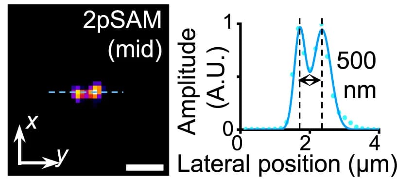 Open access visualization of Line Plot, Scatter Plot, Microscopy, MIP, Spaced Beads