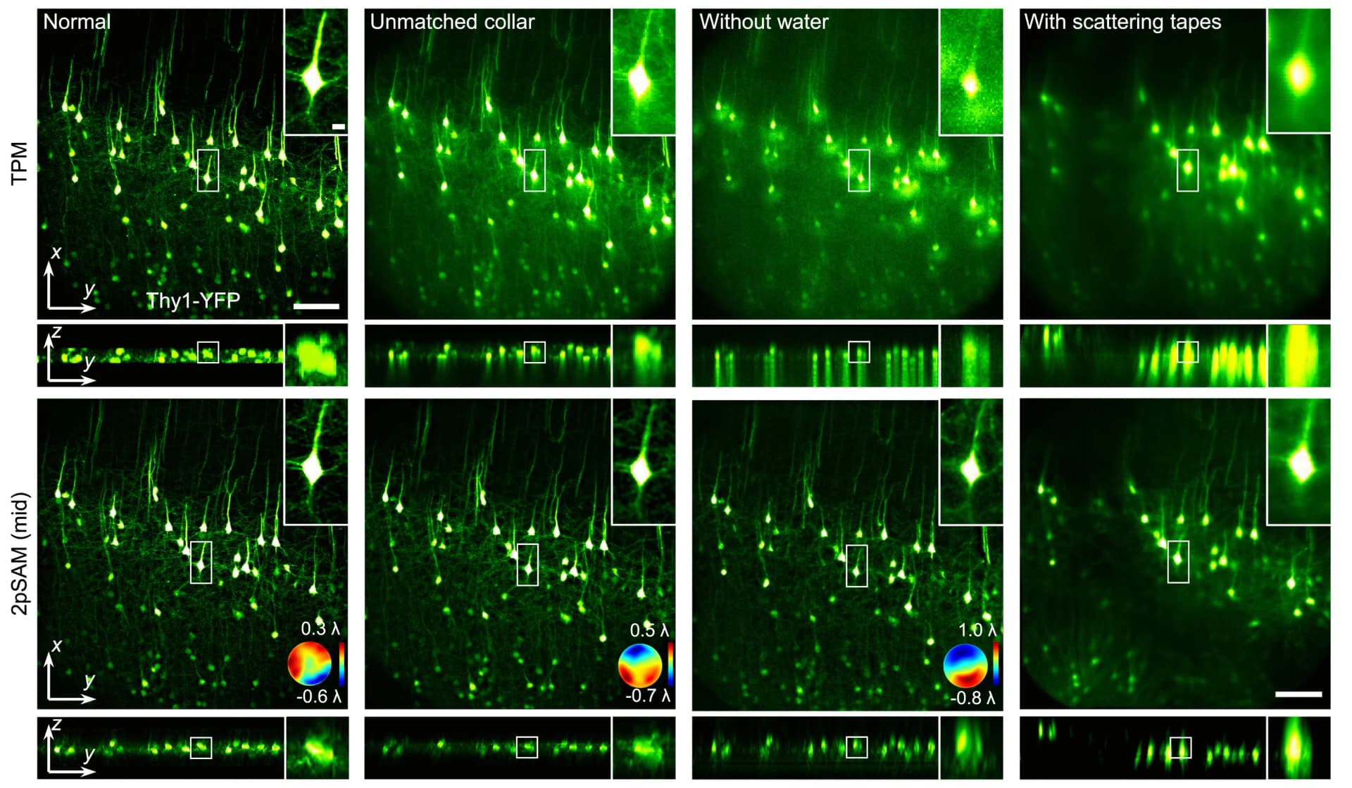 Open access visualization of Microscopy, TPM, 2pSAM, Aberrations, Objective Collar
