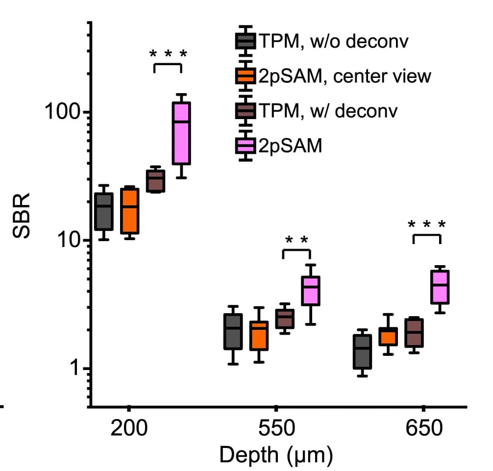 Open access visualization of Box Plot, SBR, TPM, Deconvolution, 2pSAM