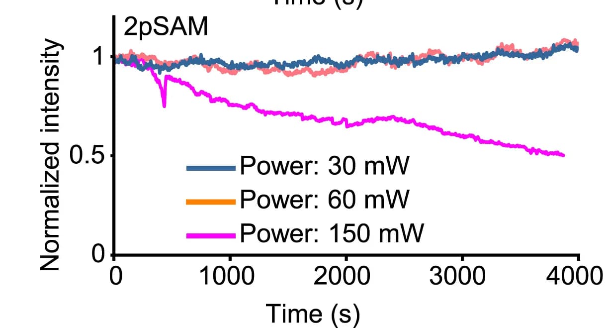 Open access visualization of Line Plot, Fluorescence Intensity, 2pSAM