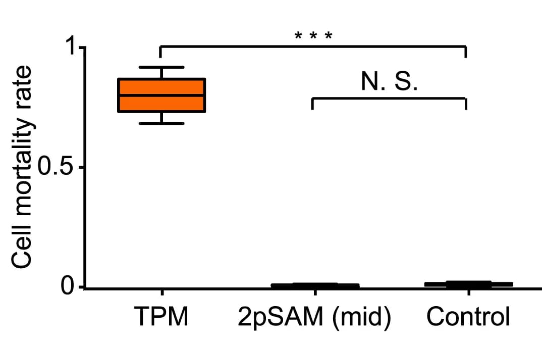 Open access visualization of Box Plot, Cell Mortality Rates, TPM, 2pSAM, B Cells
