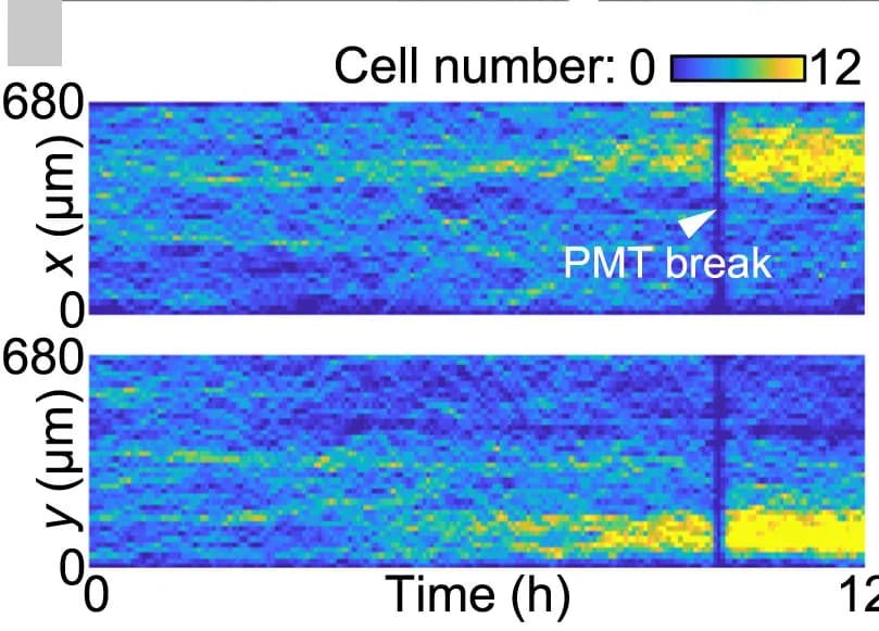 Open access visualization of Heatmap, Cell Density, Spatial Analysis