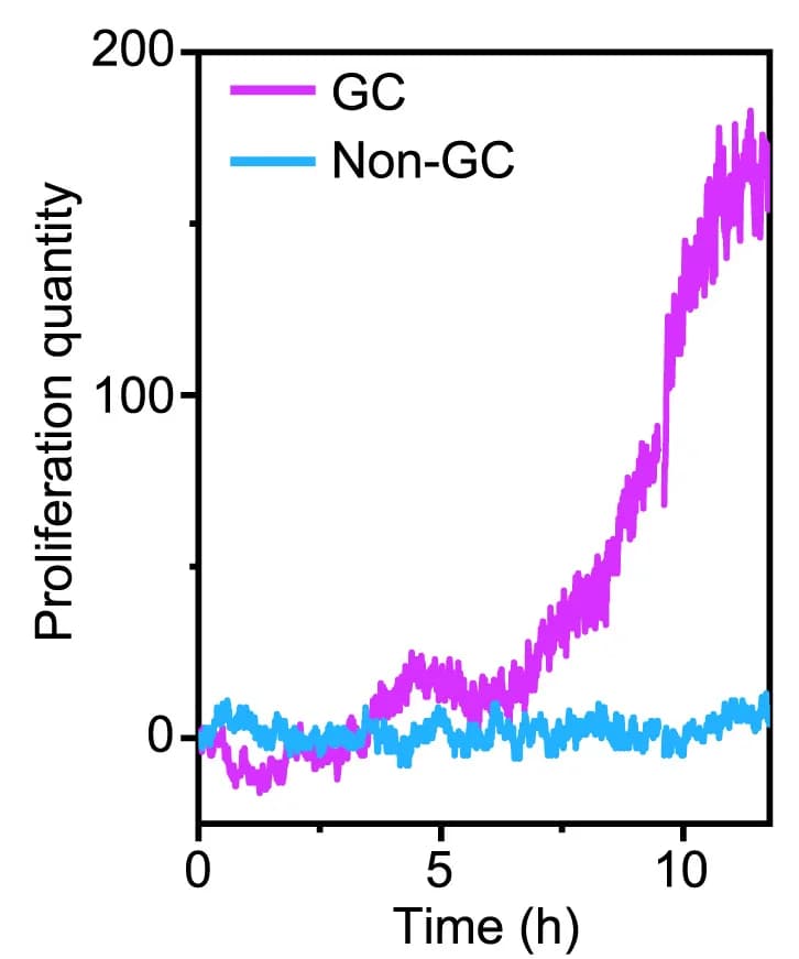 Open access visualization of Line Plot, Cell Proliferation, GC Region, Non-GC Region