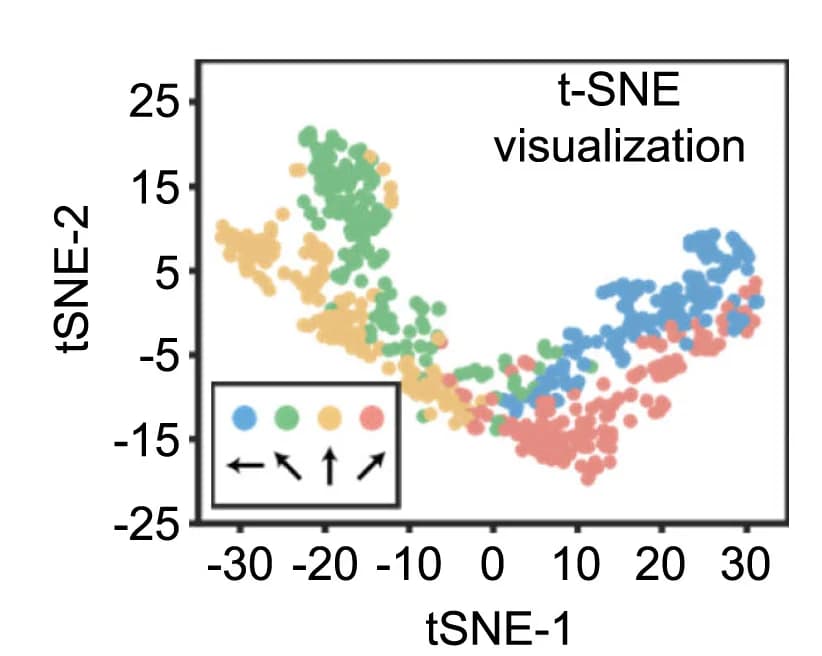 Open access visualization of Scatter Plot, UMAP, Dimensionality Reduction, tSNE, Temporal Traces