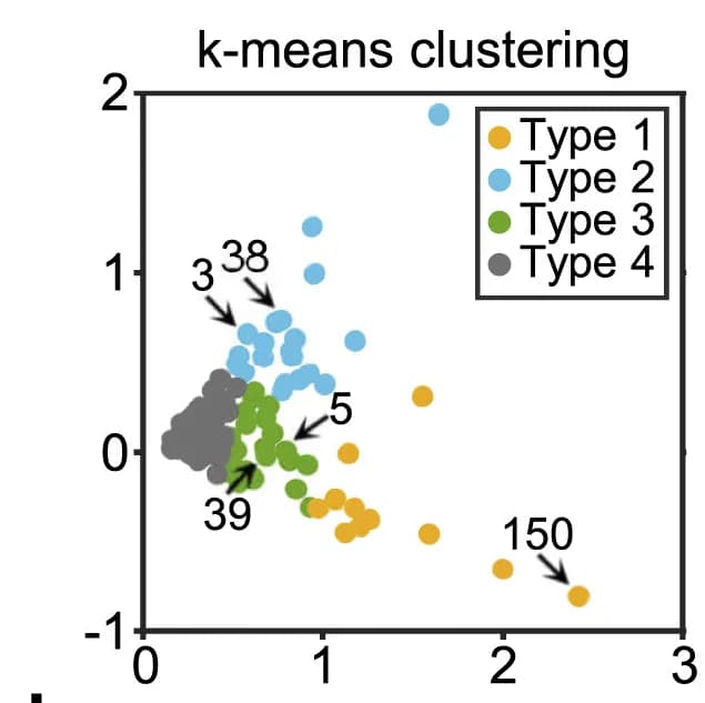 Open access visualization of Scatter Plot, PCA, k-means Clustering, Neurons, Visual Stimuli