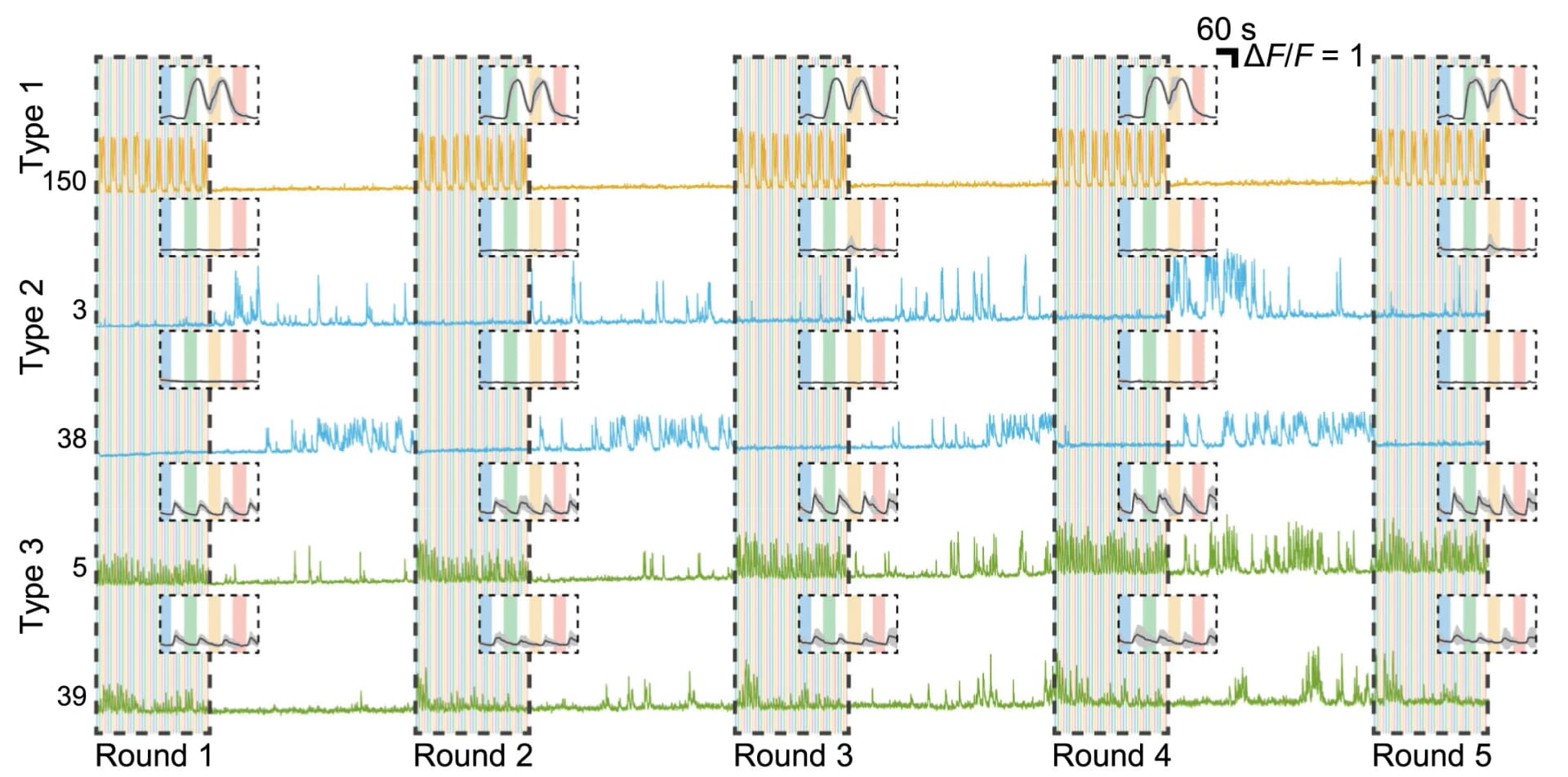 Open access visualization of Line Plot, Neuron Types, Excitatory Neurons, Inhibited Neurons, Visual Stimulus