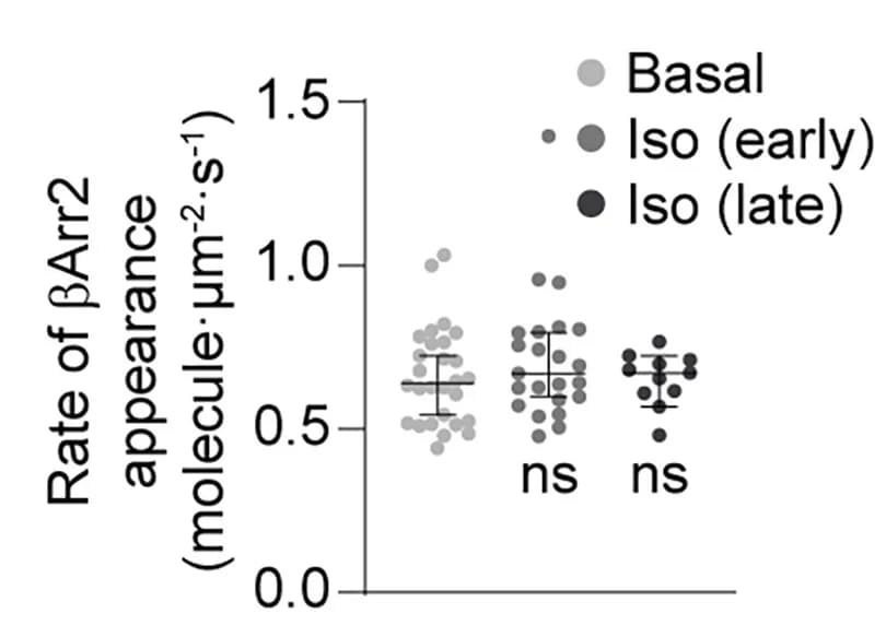 Open access visualization of Scatter Plot, Error Bars, BetaArr2, Plasma Membrane, Rates