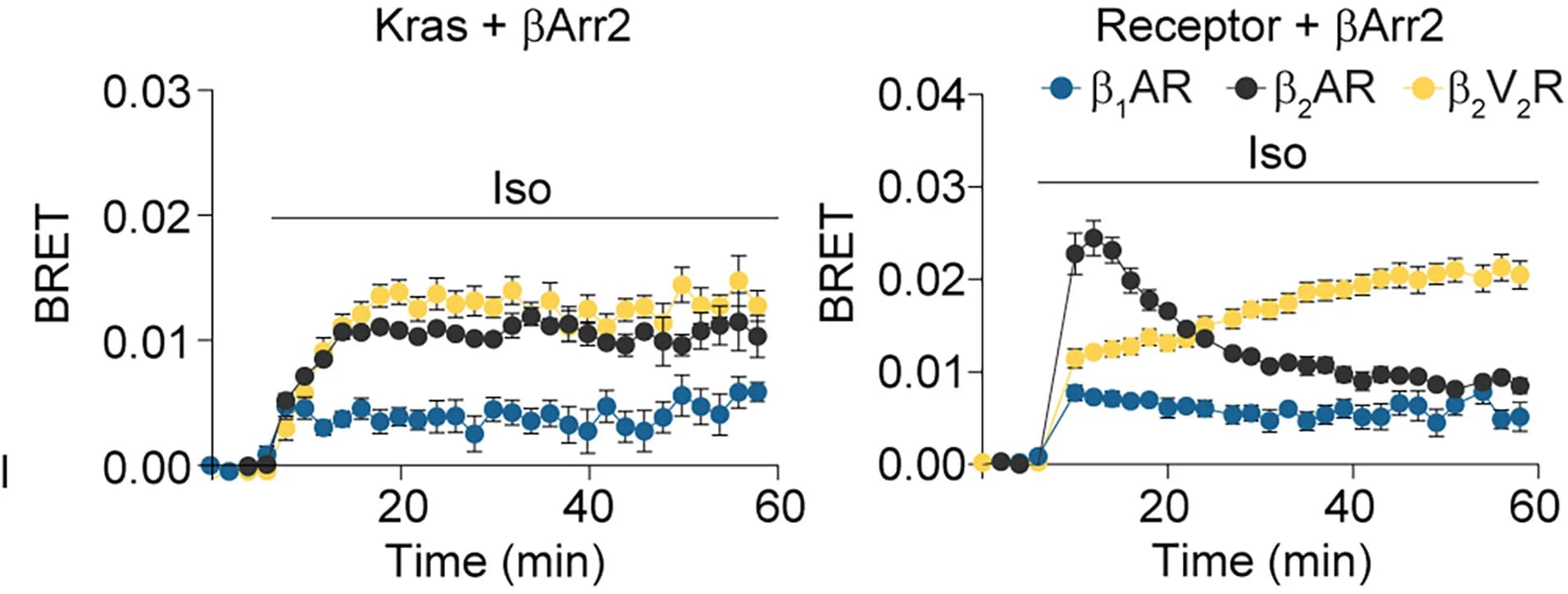 Open access visualization of Line Plot, Error Bars, betaArr2, Plasma Membrane, Receptor