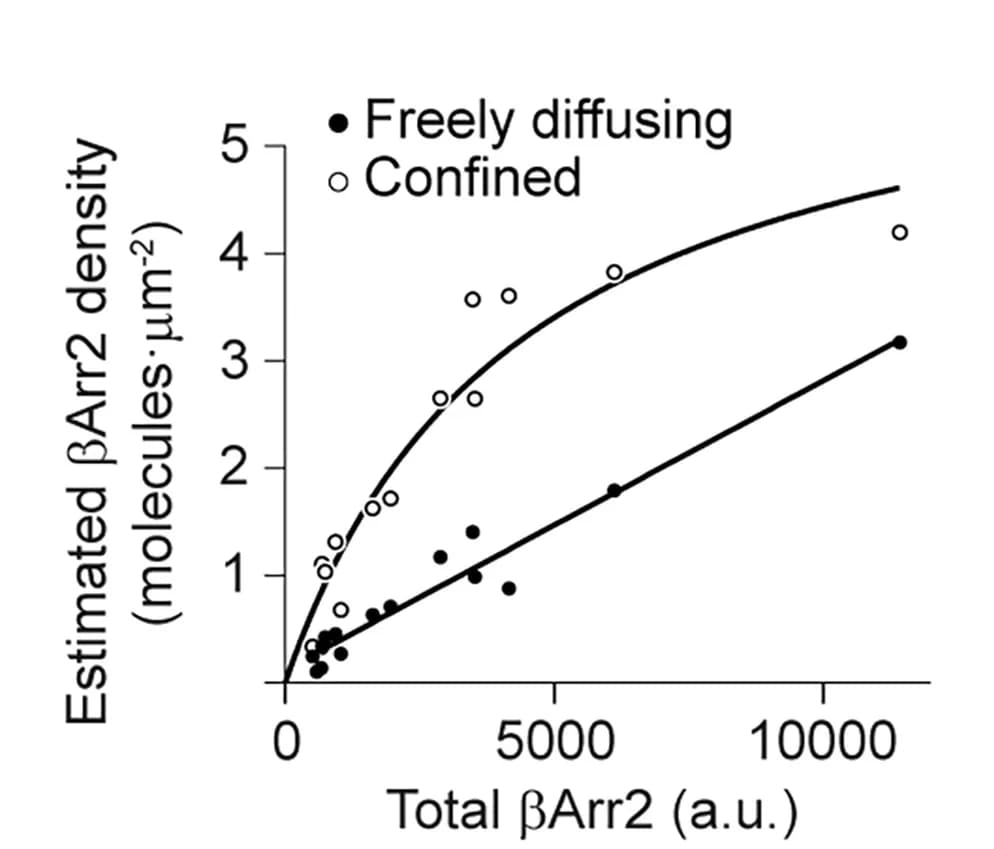Open access visualization of Scatter Plot, Line Plot, Regression Plot, Densities, betaArr2