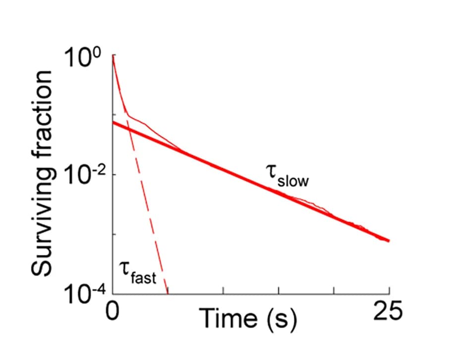 Open access visualization of Line Plot, Survival Curve, beta-arrestin, Lipid Bilayers