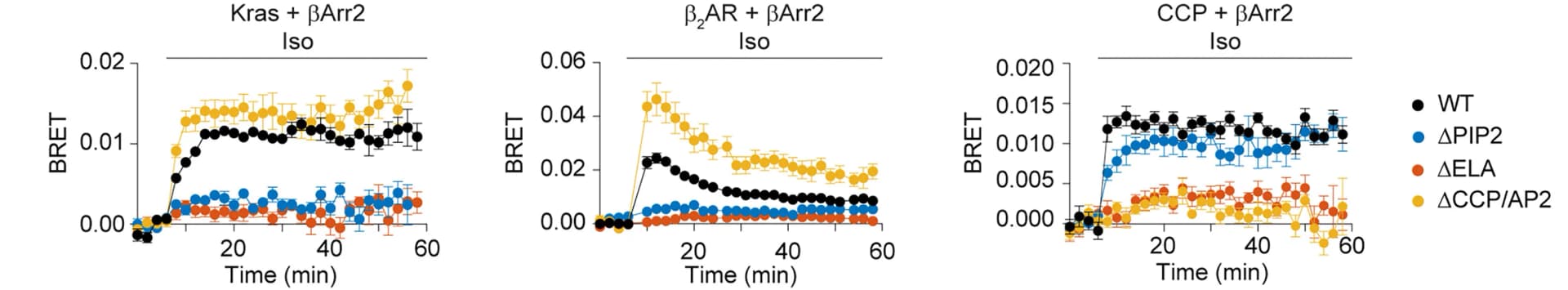 Open access visualization of Line Plot, Error Bars, betaArr2 Mutant, Plasma Membrane, Isoproterenol