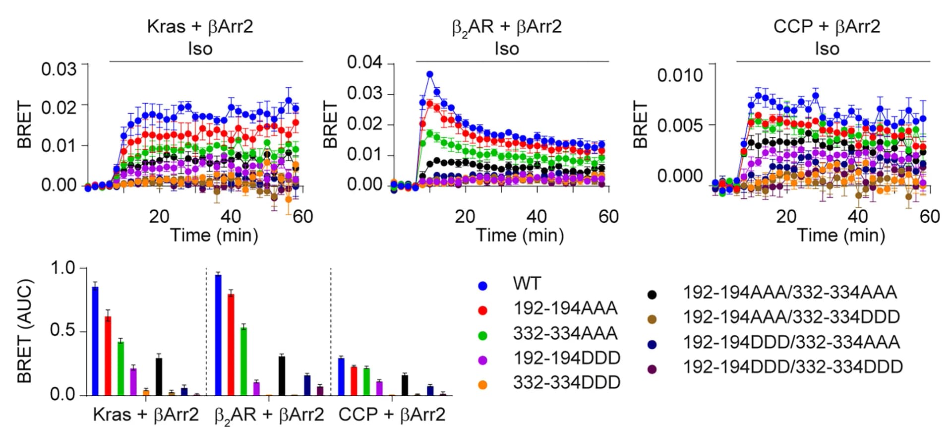 Open access visualization of Line Plot, Error Bars, Bar Plot, C-edge Mutant, Plasma Membrane