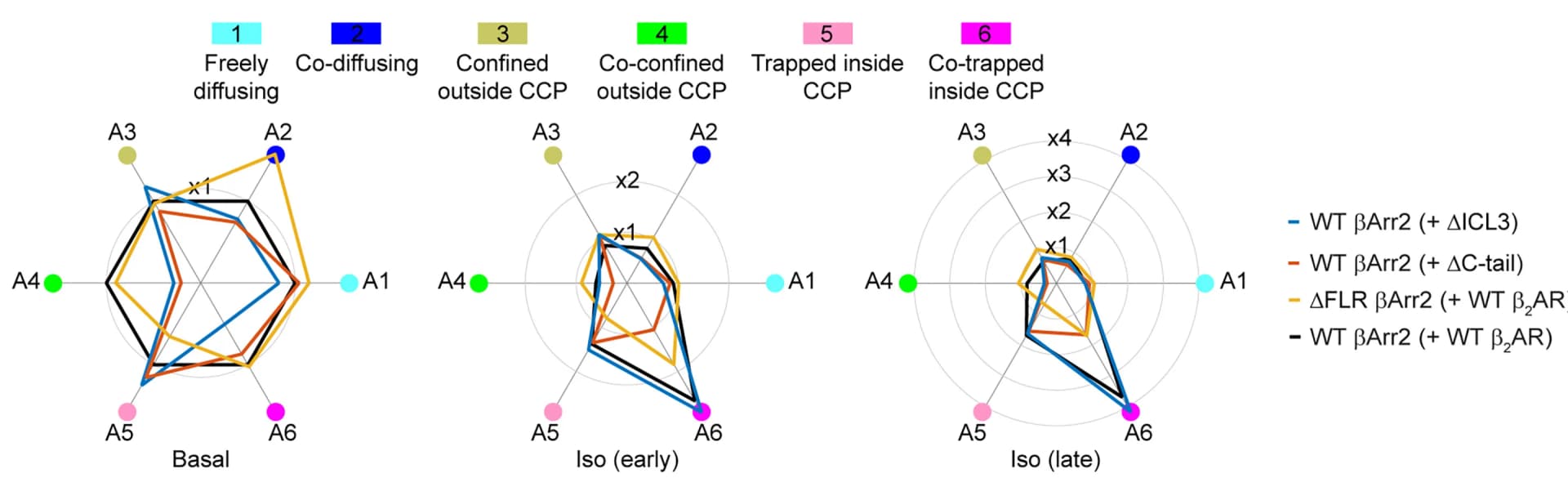 Open access visualization of Radar Chart, Single-molecule state occupancies, Isoproterenol stimulation