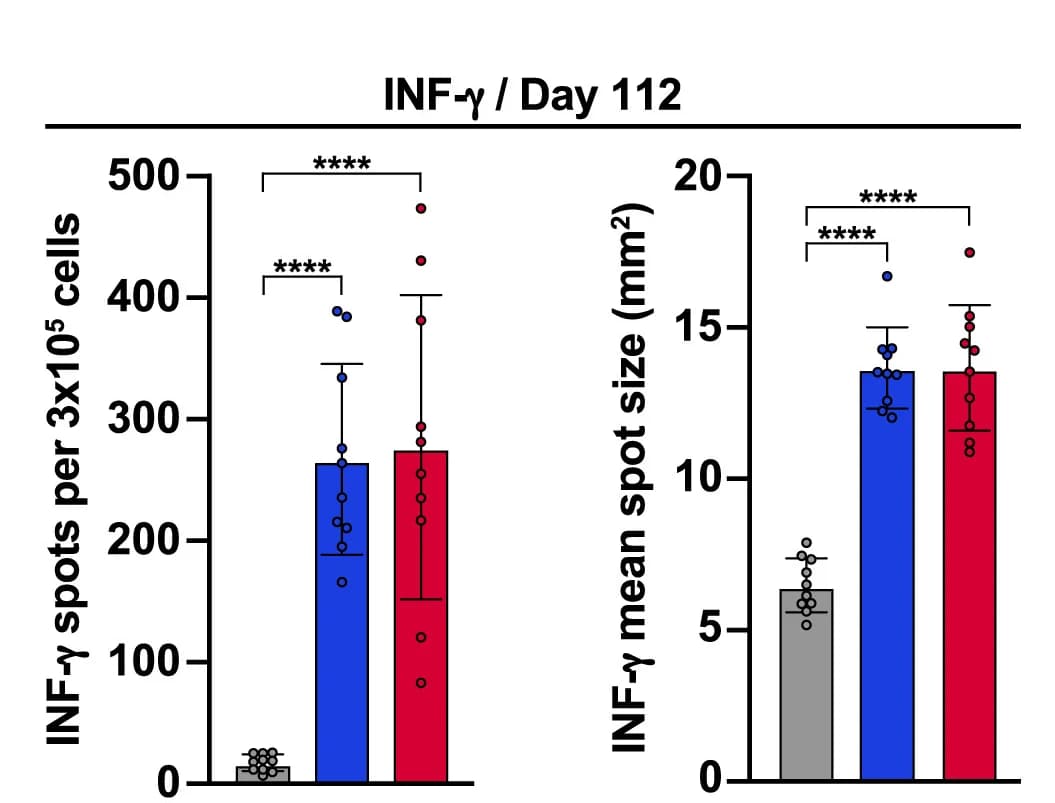 Open access visualization of Bar Plot, Error Bars, ELISpot Assay, SARS-CoV-2, INF-γ