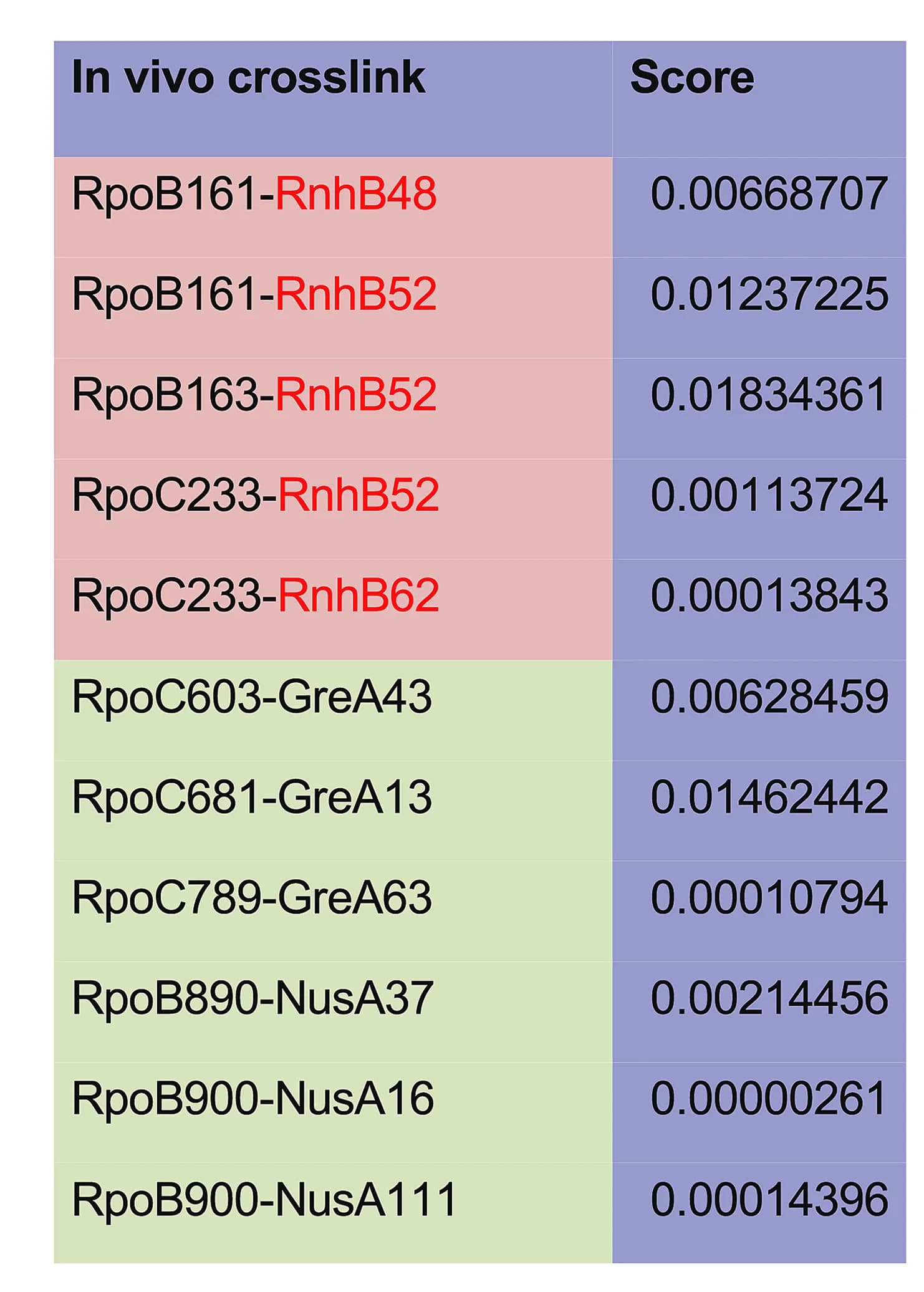 Open access visualization of Table Image, Cross-linking Mass Spectrometry, RNAP, RNaseHII, Protein Interactions