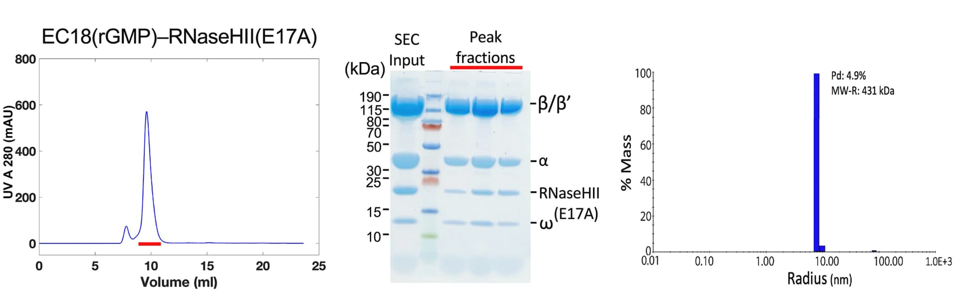 Open access visualization of Line Plot, Gel, Bar Plot, EC18(rGMP)-RNaseHII(E17A) Complex, Size-Exclusion Chromatography