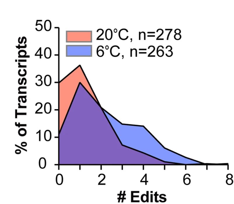 Open access visualization of Line Plot, Line Step, Density Plot, Clone Sequencing, D. Opalescens Kinesin cDNA