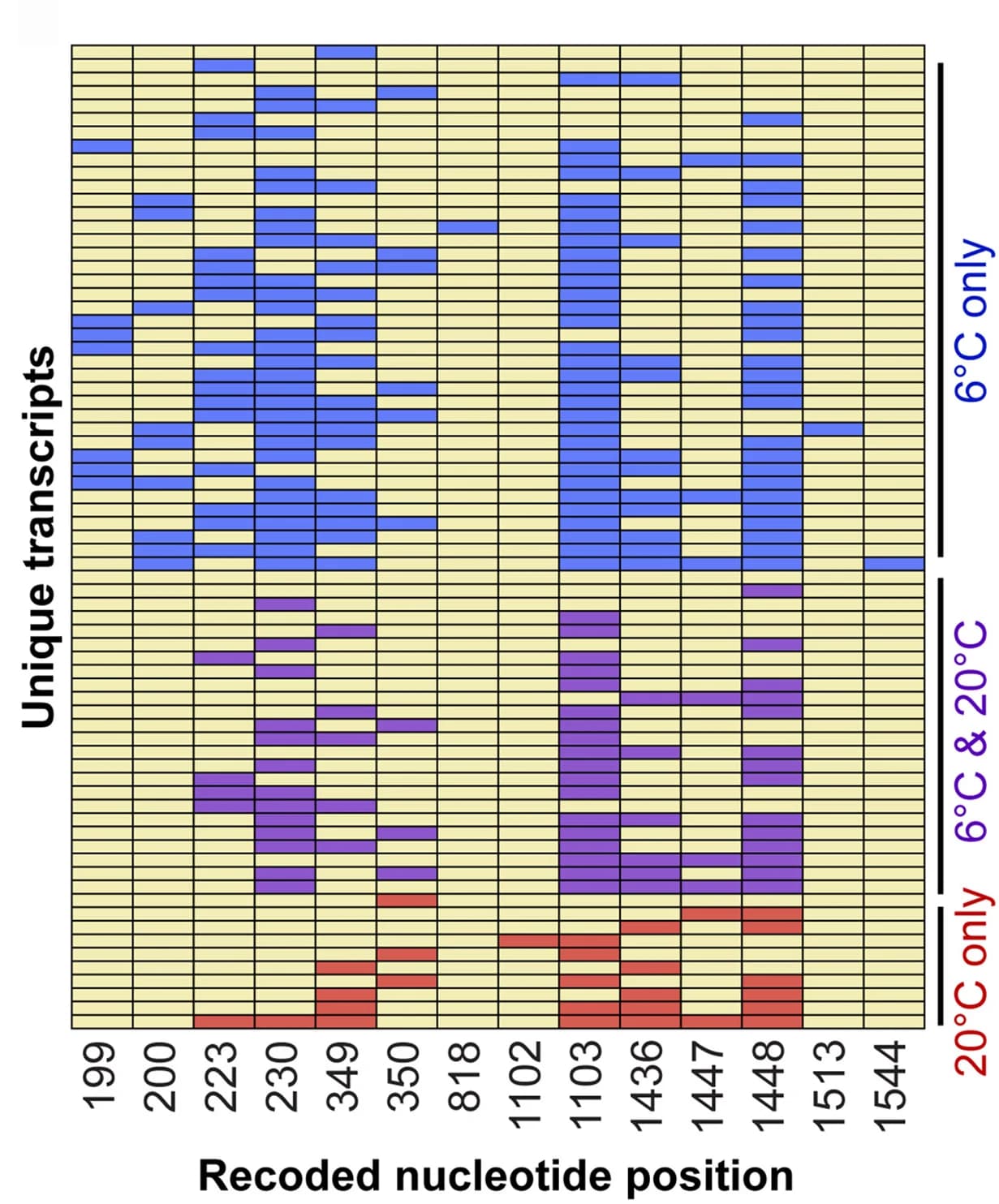 Open access visualization of Heatmap, Recoding Site Combinations, D. Opalescens Kinesin, Clone Sequence, Transcript