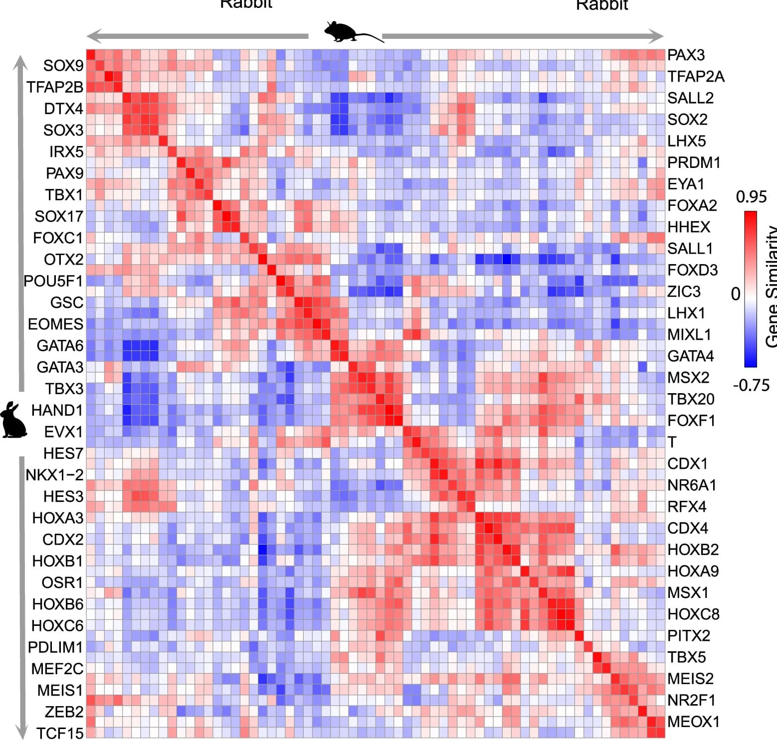 Open access visualization of Heatmap, Gene-Gene Correlations, Metacells, Transcription Factors, Species