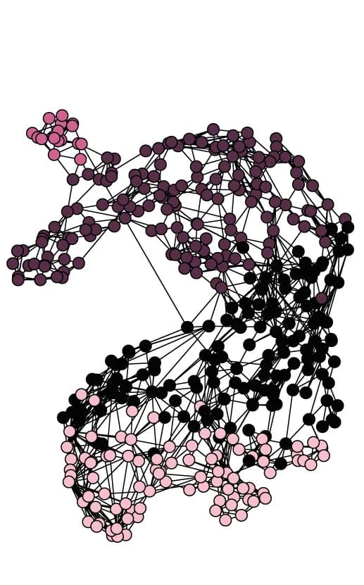 Open access visualization of Network, Pathway, UMAP Projection, Extraembryonic Endoderm, Ectoderm