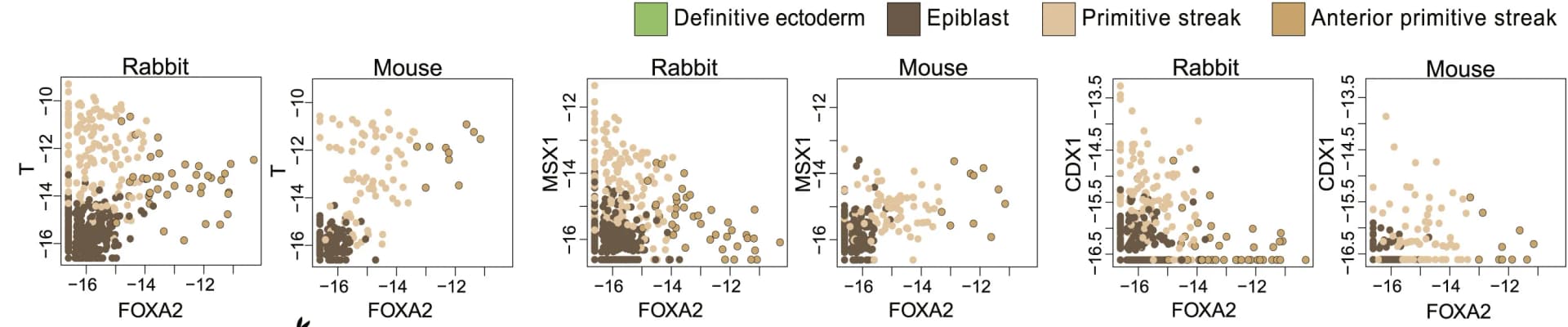 Open access visualization of Scatter Plot, Temporal expression, Key genes, Epiblast, PS