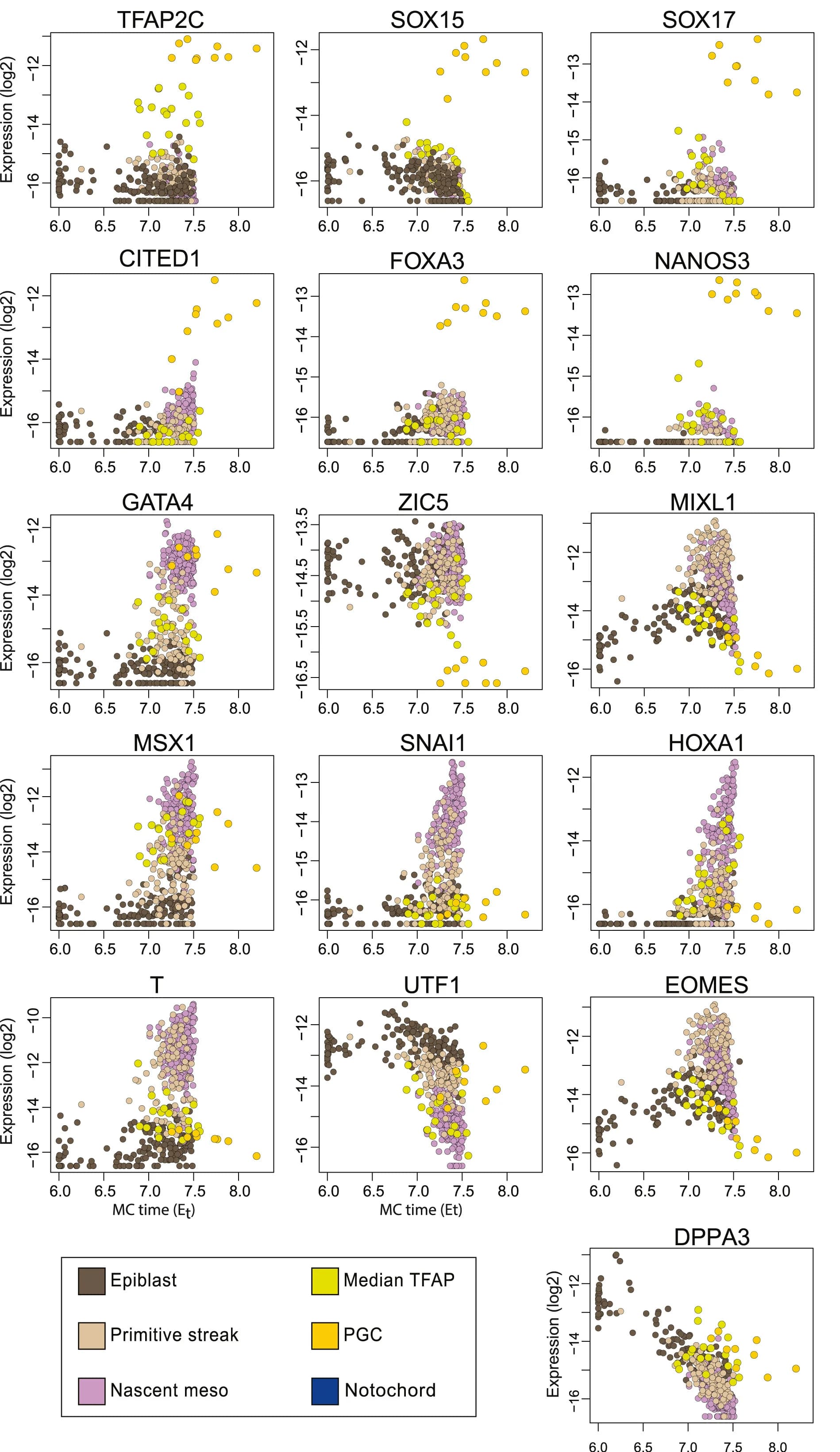 Open access visualization of Scatter Plot, Expression Level, Marker Genes, UMI Frequency