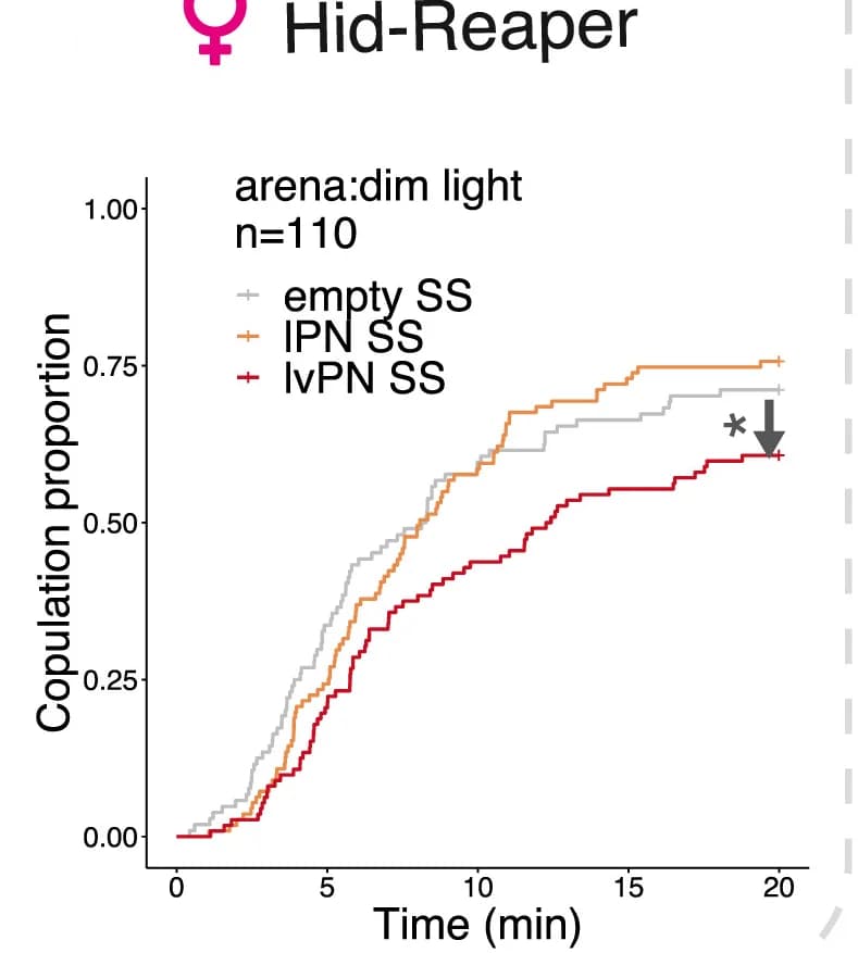 Open access visualization of Line Plot, Line Step, Hid,Reaper-Induced Ablation, lvPNs, Female Receptivity